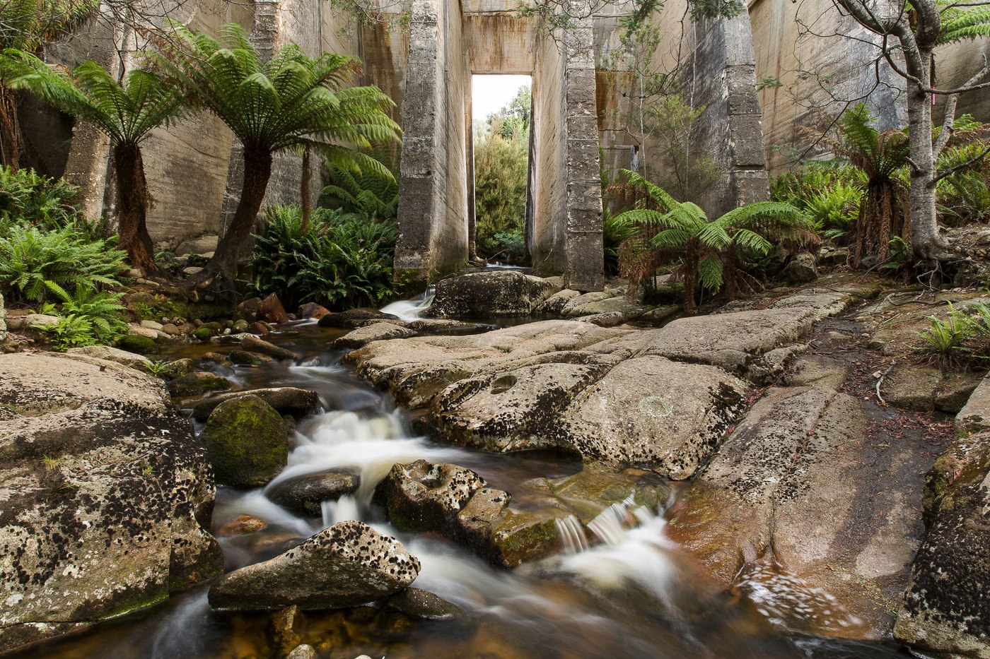 Capcana AI în turism: Căutări inutile după izvoare termale în Tasmania