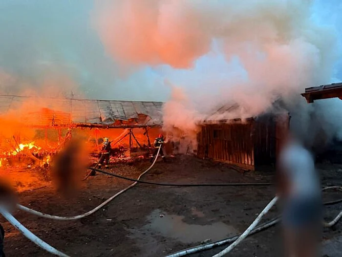Incendiu Devastator la Adăposturi de Animale în Suceava: Flăcările au Mistuit Două Construcții