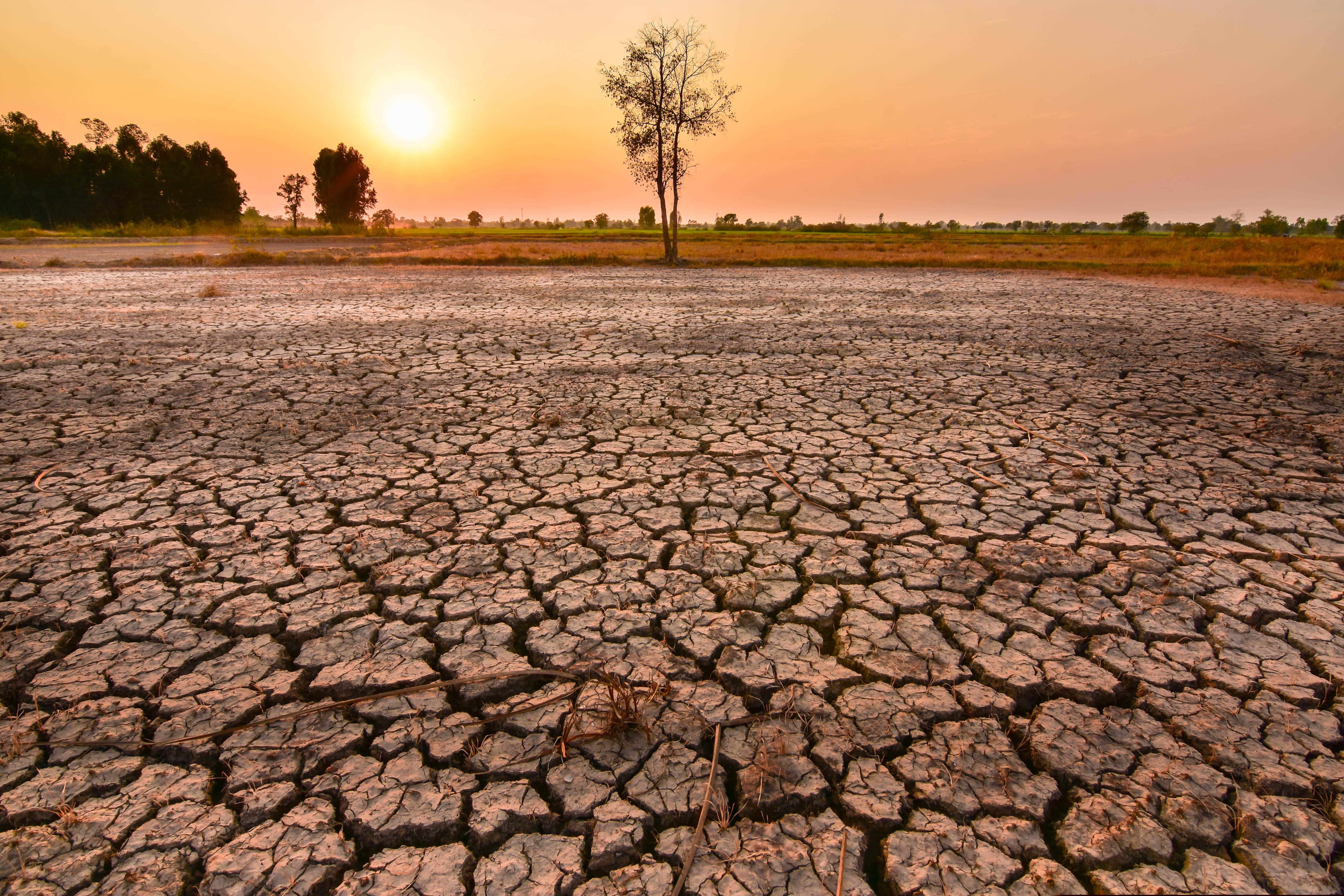 Semnal de alarmă climatic: El Nino amenință să transforme 2027 în cel mai cald an din istorie