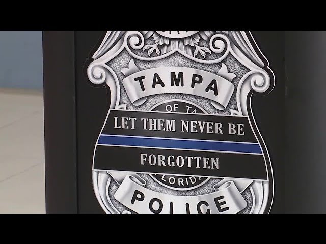 Tragedie în Tampa: Fugă de poliție cu final catastrofal