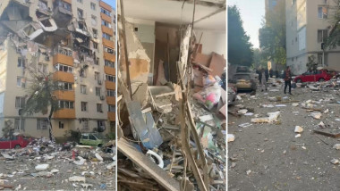 În curtea școlii, un urs: Al doilea incident într-o săptămână în județul Alba