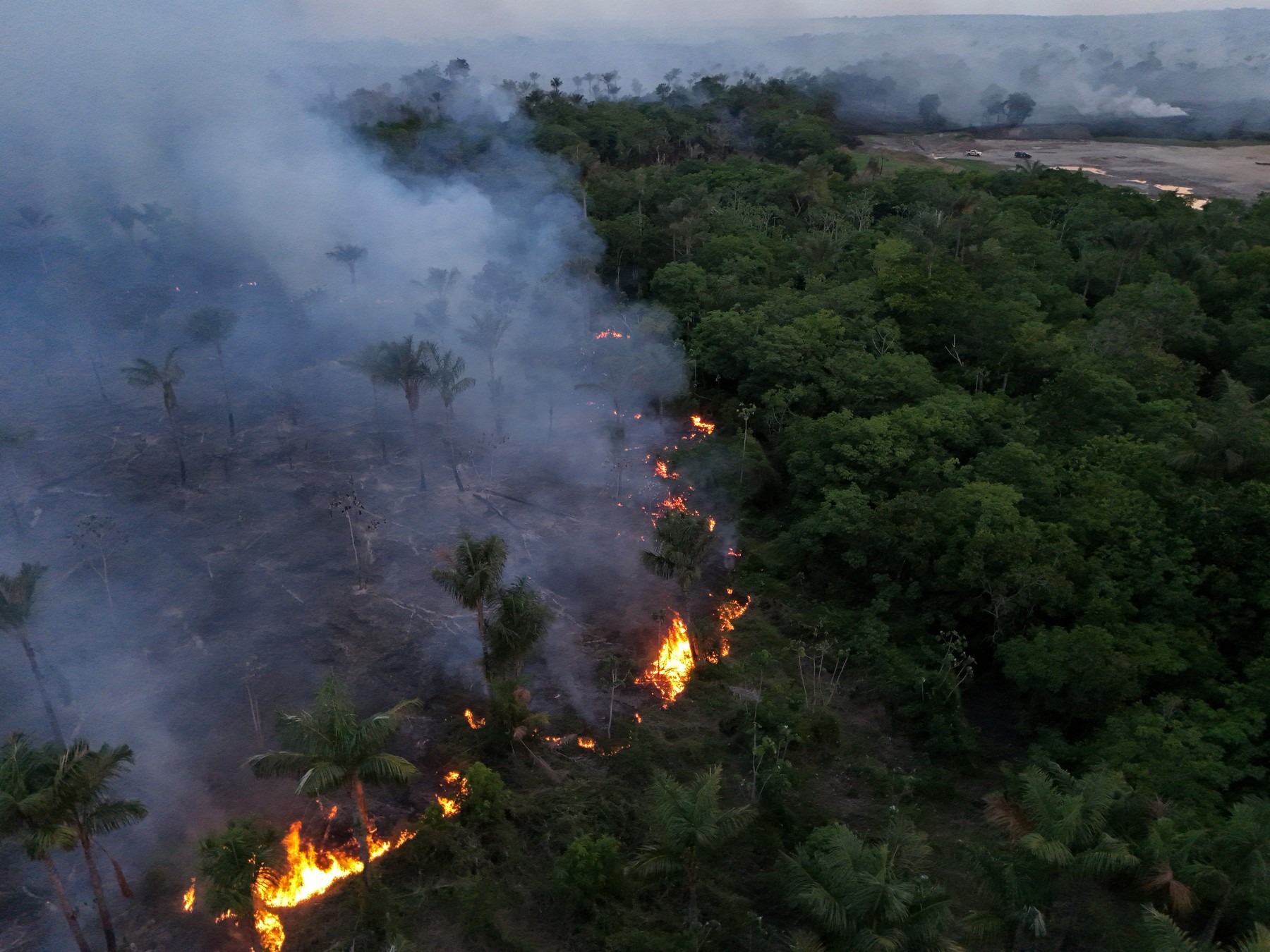 Amazonul Sub Asediul Flăcărilor: Incendii Devastatoare Amenință Ecosistemul