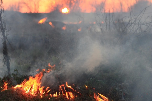 Tragedie și provocare: Incendiile fac ravagii în Europa